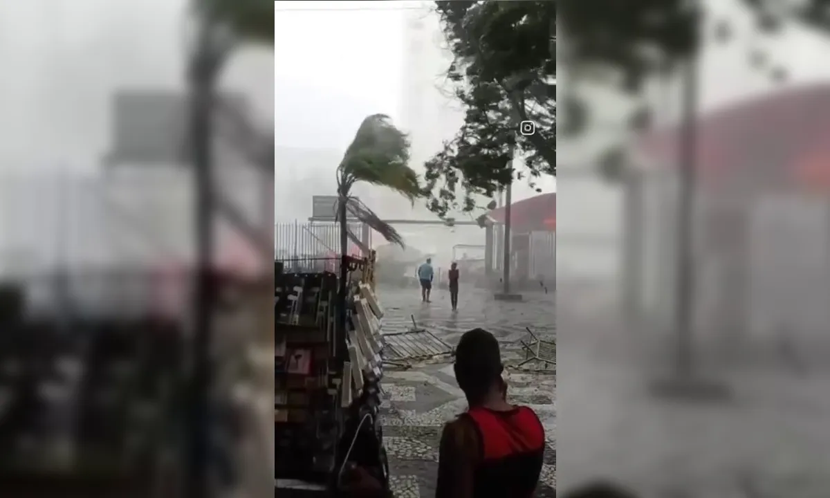 Tempo causa alagamentos e derruba árvores em Niterói