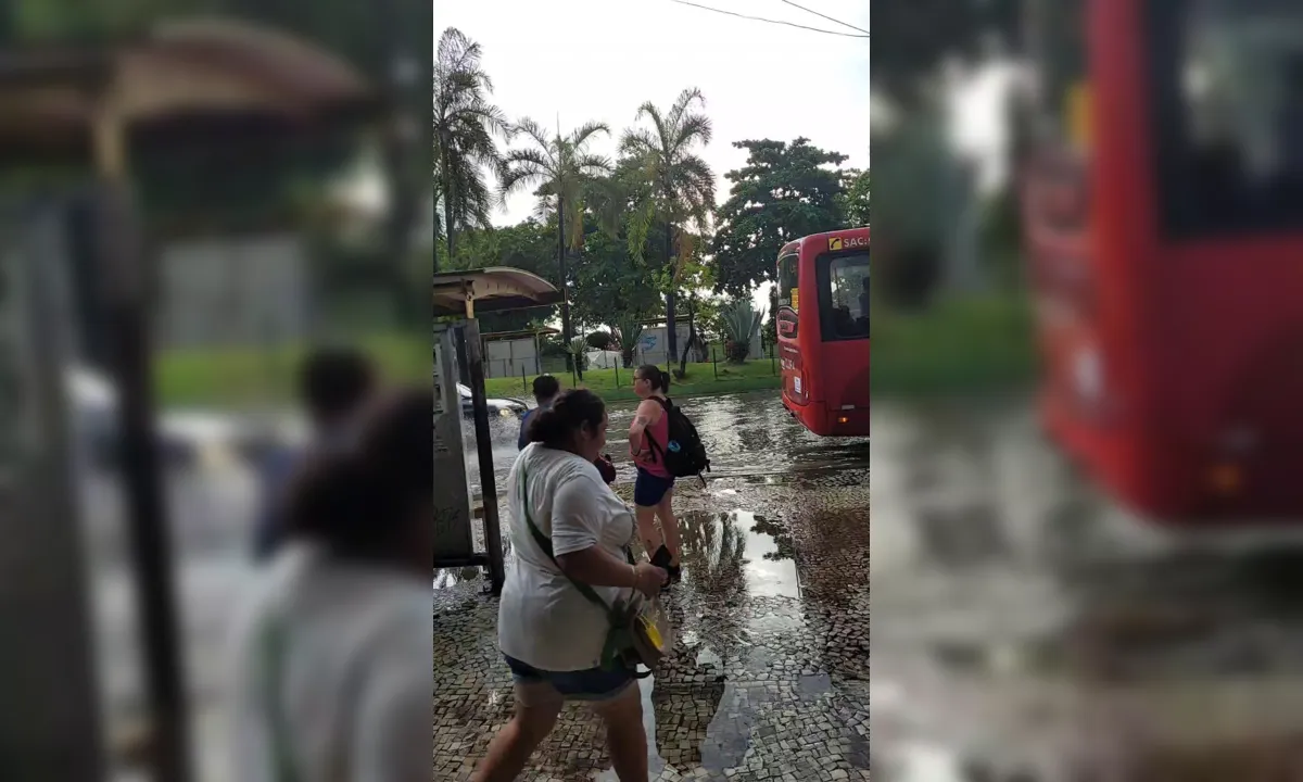 Tempo causa alagamentos e derruba árvores em Niterói