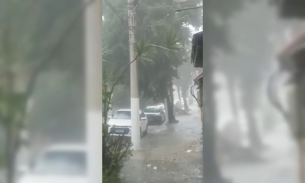 Tempo causa alagamentos e derruba árvores em Niterói