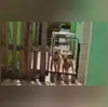 Imagem ilustrativa da imagem Pastor de templo em Itaipuaçu é detido acusado de maltratar animais