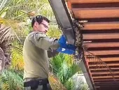 Cobra de dois metros é encontrada em casa na Região Oceânica de Niterói