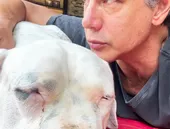 Tristeza do luto e as dúvidas na fase terminal do pet