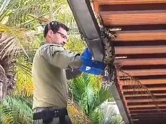 Cobra de dois metros é encontrada em casa na Região Oceânica de Niterói