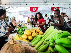 Rio recebe 16ª Feira da Reforma Agrária com alimentos orgânicos