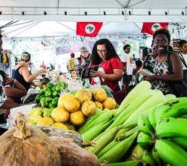 Rio recebe 16ª Feira da Reforma Agrária com alimentos orgânicos