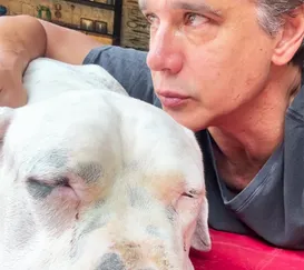 Tristeza do luto e as dúvidas na fase terminal do pet