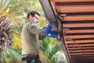 Imagem ilustrativa da imagem Cobra de dois metros é encontrada em casa na Região Oceânica de Niterói