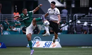 Imagem ilustrativa da imagem Palmeiras e Botafogo duelam por vaga nas quartas do Mundial