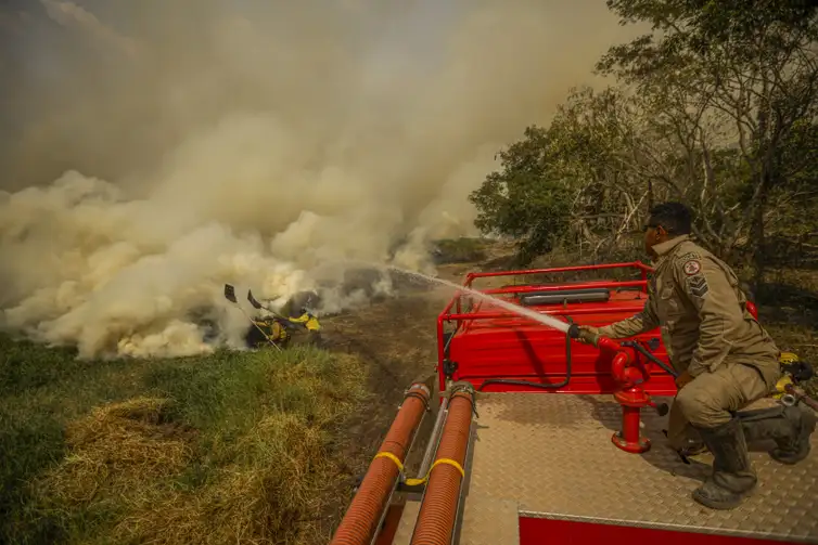 Homens tentam conter chamas e fumaça que ameaçam animais no Pantanal