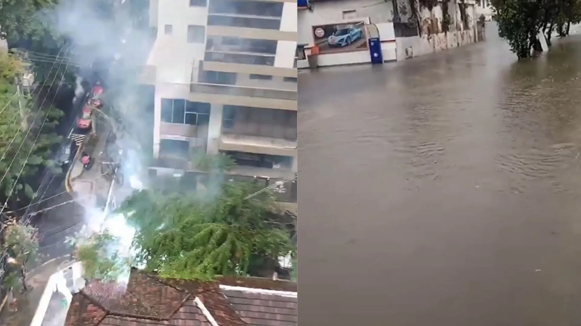 Uma árvore caiu em Icaraí, e uma rua em São Domingos ficou alagada