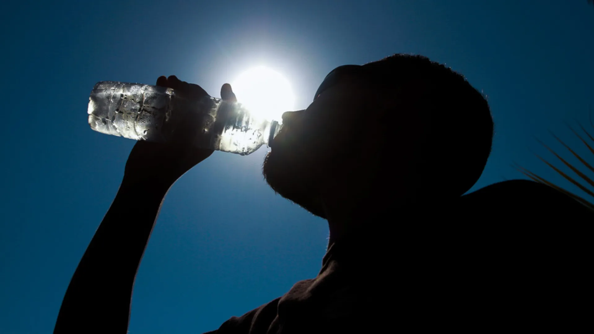 A ingestão de água é fundamental para evitar a desidratação