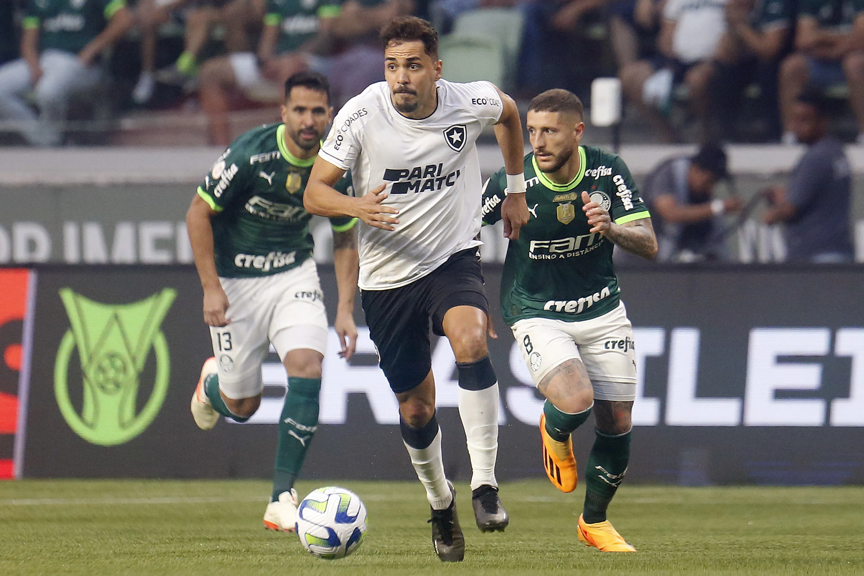 Diferença do líder Botafogo para o vice Palmeiras é de seis pontos