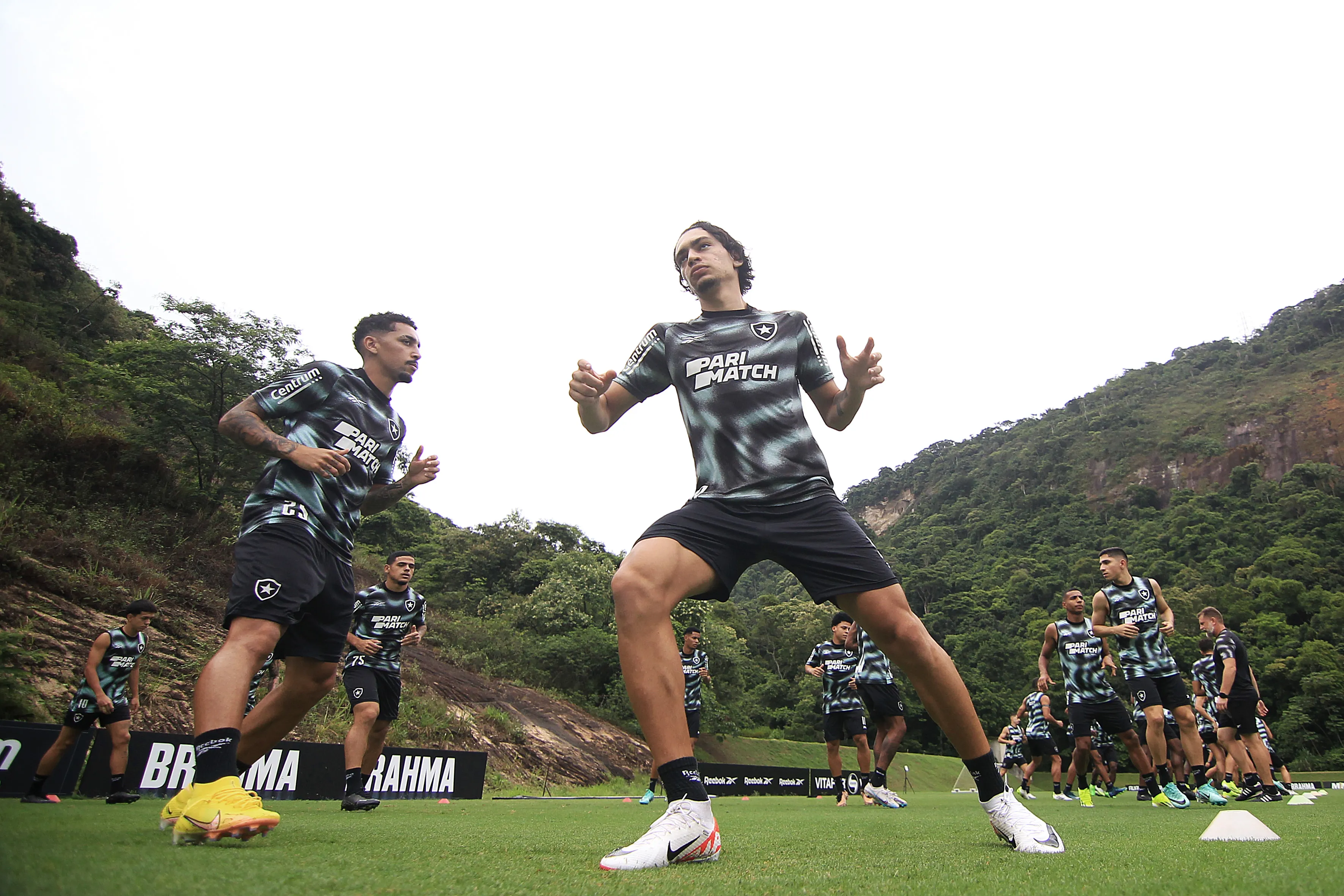 Botafogo deve ir a campo com um time alternativo