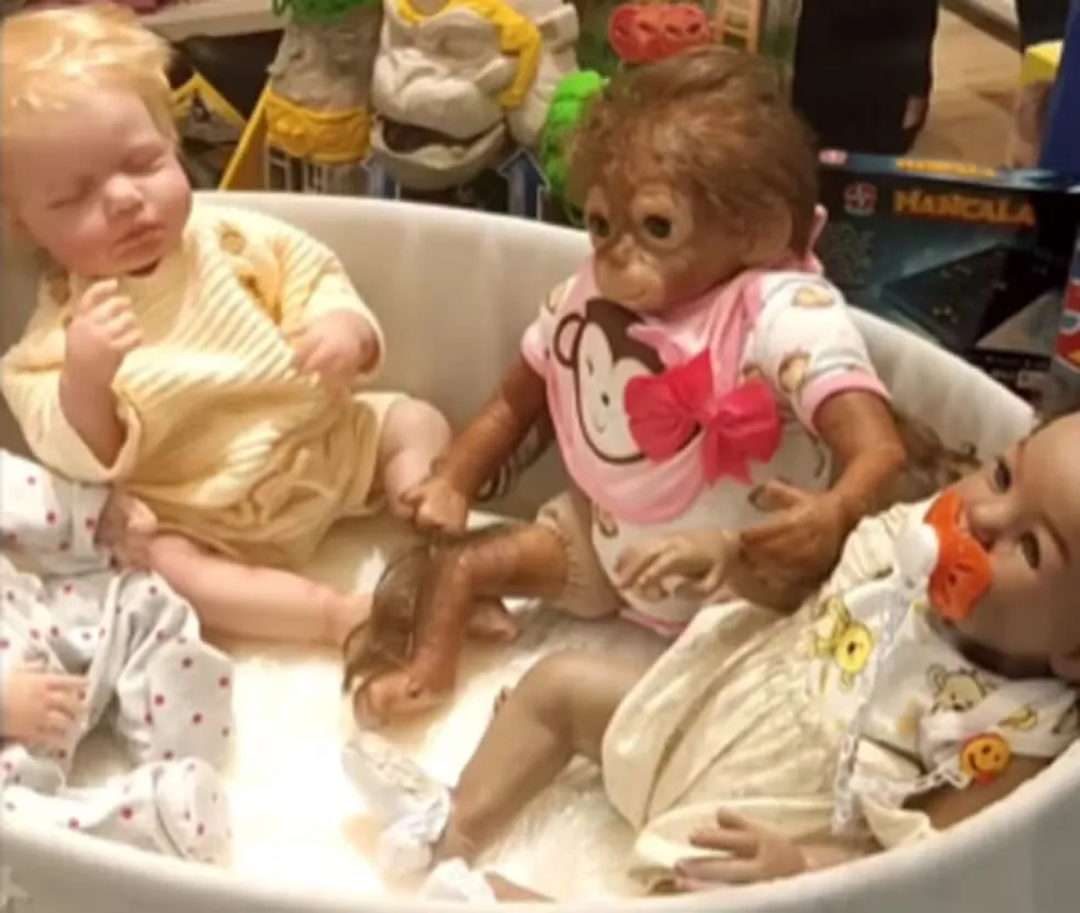 Vídeo divulgado pelo professor nas redes sociais mostra um boneca negra ao lado de um macaco