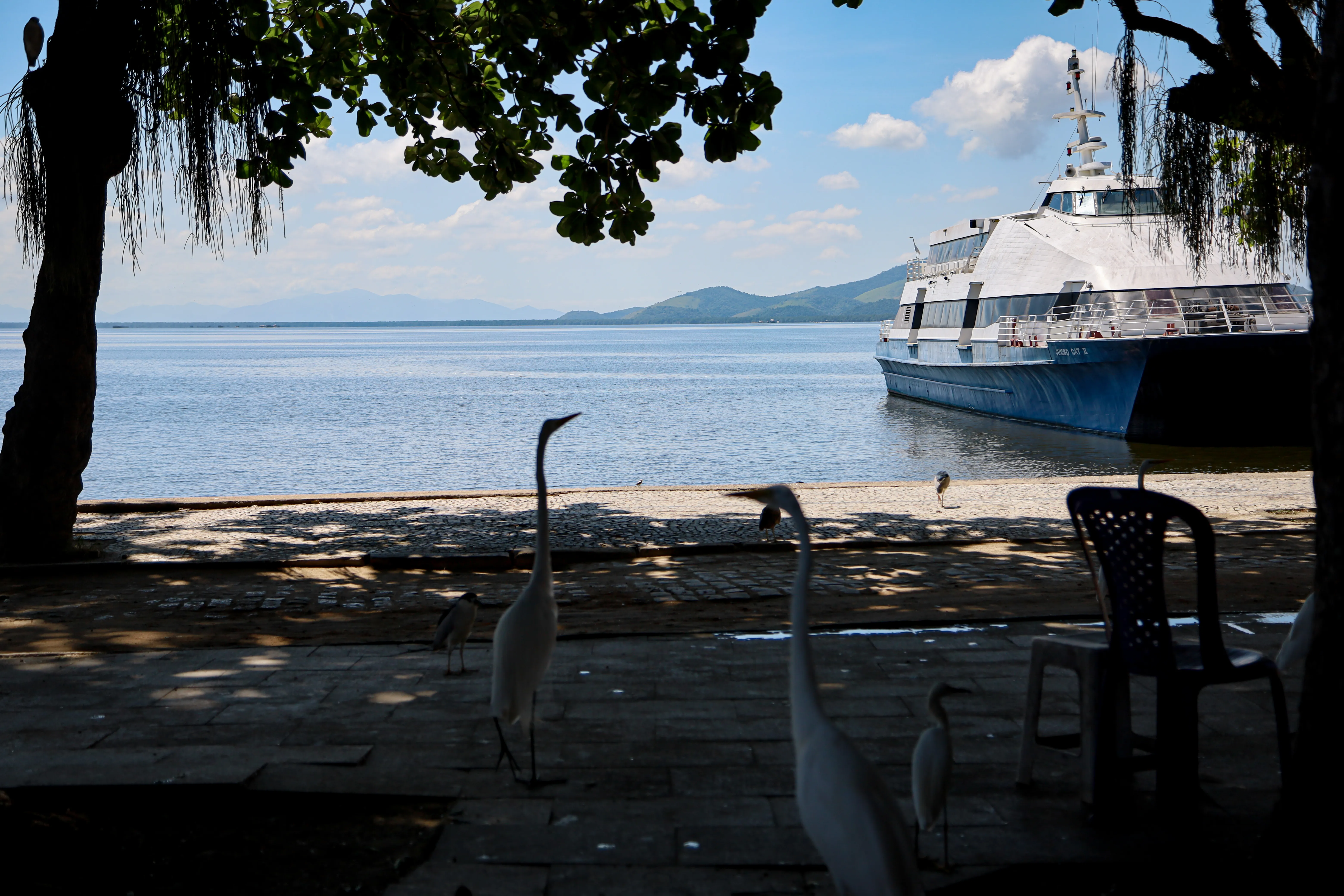 O principal meio de transporte para se chegar à ilha é a barca Rio-Paquetá