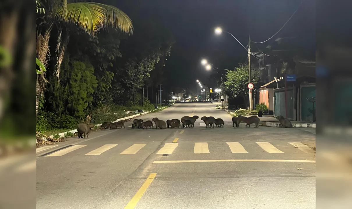 Grupo foi flagrado na esquina das ruas 36 e 18, no Jardim Atlântico Oeste, em Itaipuaçu