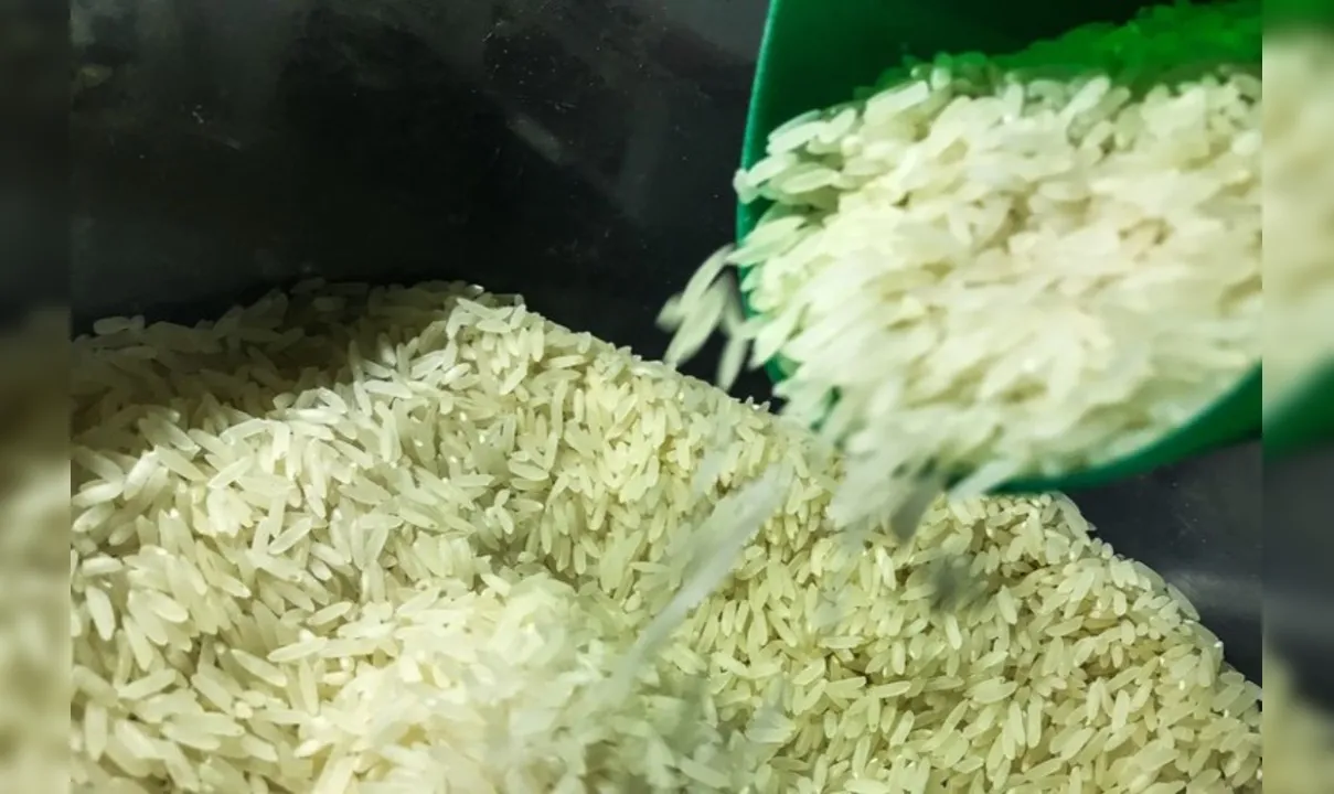 Conab e MAPA anunciaram nesta terça-feira, o cancelamento de um novo leilão de arroz.