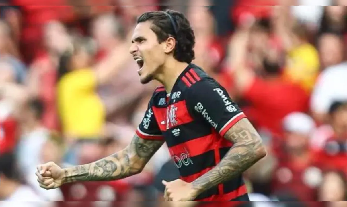 Pedro marcou o gol que deu a vitória ao Flamengo