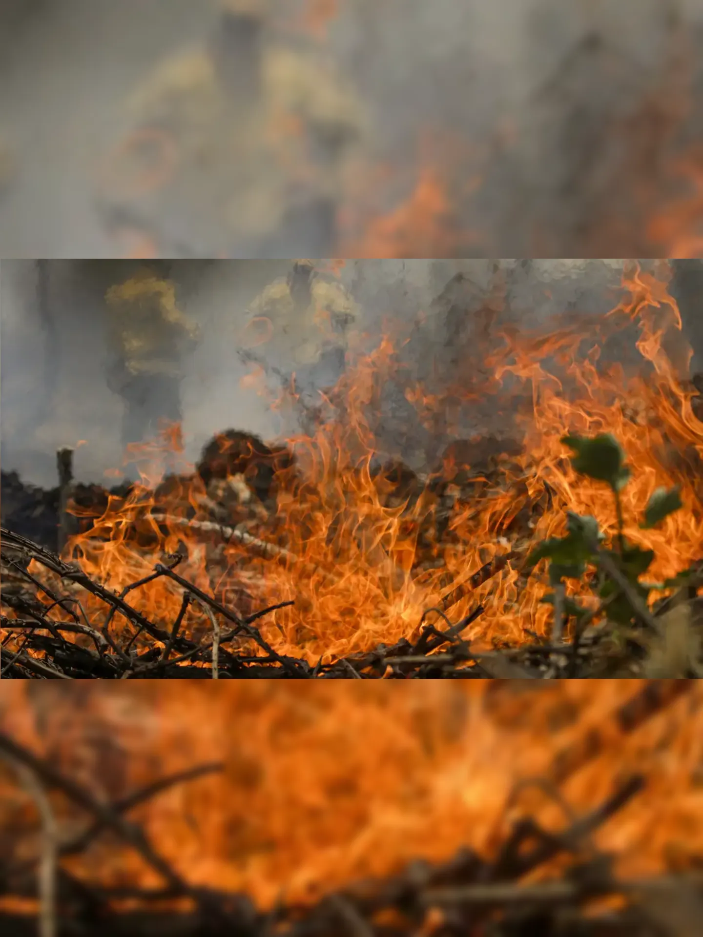 Cenário de incêndio no Pantanal é agravado pela forte ventania na região