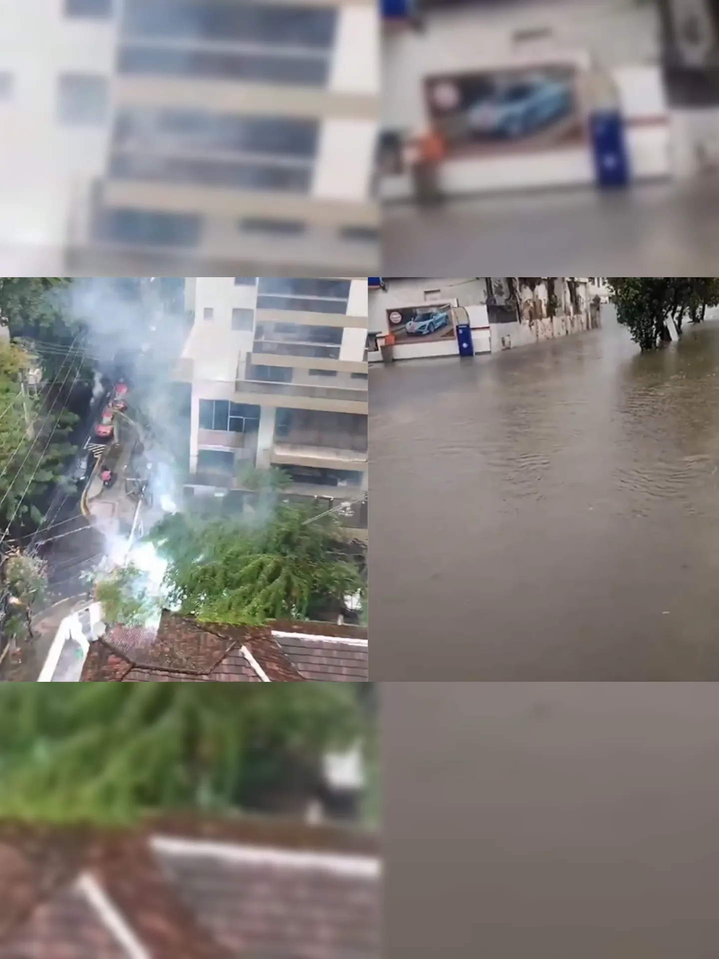 Uma árvore caiu em Icaraí, e uma rua em São Domingos ficou alagada