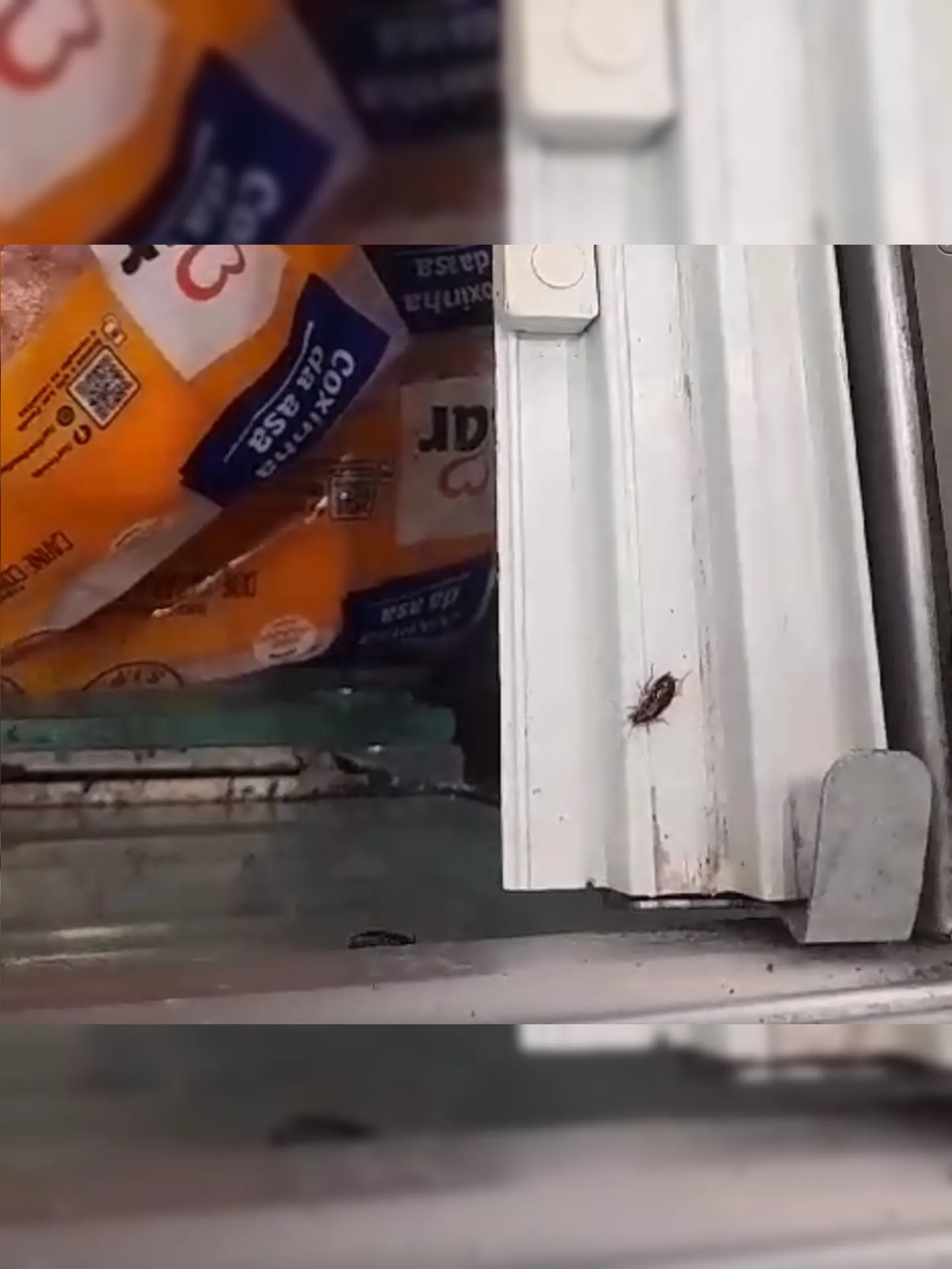 Baratas, ratos e outros insetos já foram encontrados junto da comida, segundo clientes