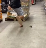 Imagem ilustrativa da imagem Influenciador mata rato com 'chute' em mercado de Niterói; vídeo