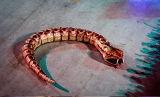 Imagem ilustrativa da imagem Saiba como funcionou 'truque' da serpente no desfile da Viradouro