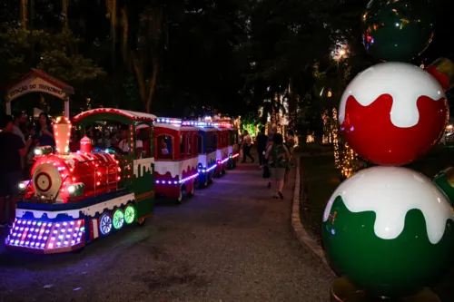 Imagem ilustrativa da imagem Campo de São Bento abre a decoração de Natal de Niterói