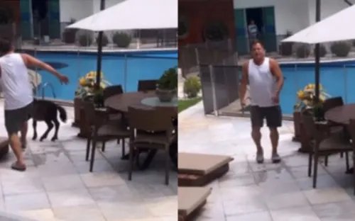 Nas imagens, Leonardo parece tentar chutar o pônei enquanto ele está próximo à piscina