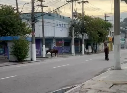 Local é área escolar