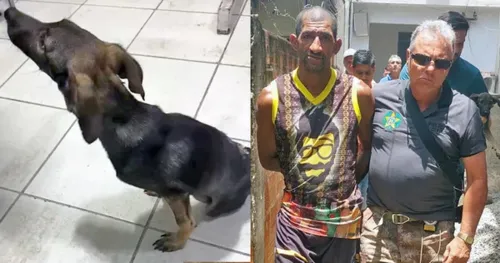 Homem teria atacado o animal de forma violenta