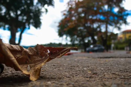 Outono começou no Hemisfério Sul à 0h06 desta quarta-feira (20)