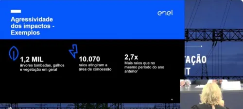 Imagem ilustrativa da imagem 'Trabalhamos incansavelmente', diz presidente da Enel Rio em CPI