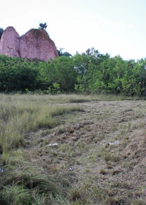 O terreno fica às margens da RJ-104