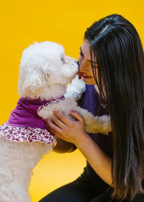 A saliva dos cachorros pode conter a bactéria Capnocytophaga