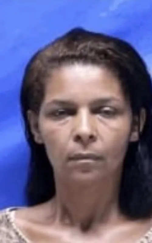 O recurso, ainda pendente de análise, visa garantir que Erika responda em liberdade