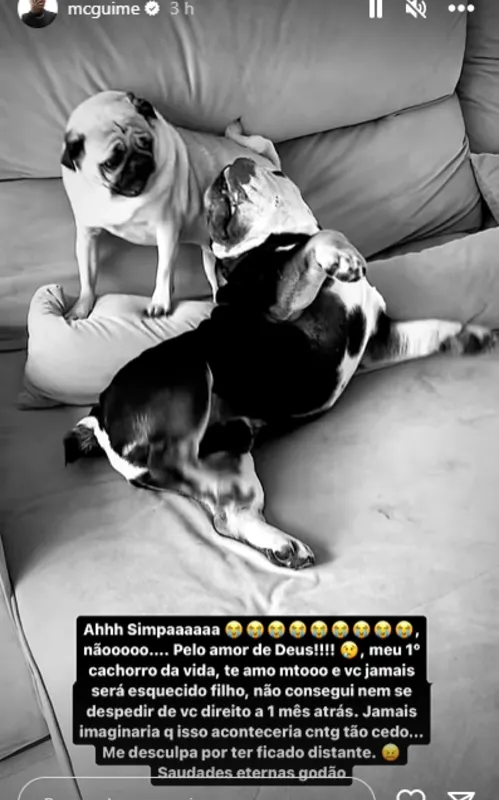 Guimê lamentou a morte do cachorro