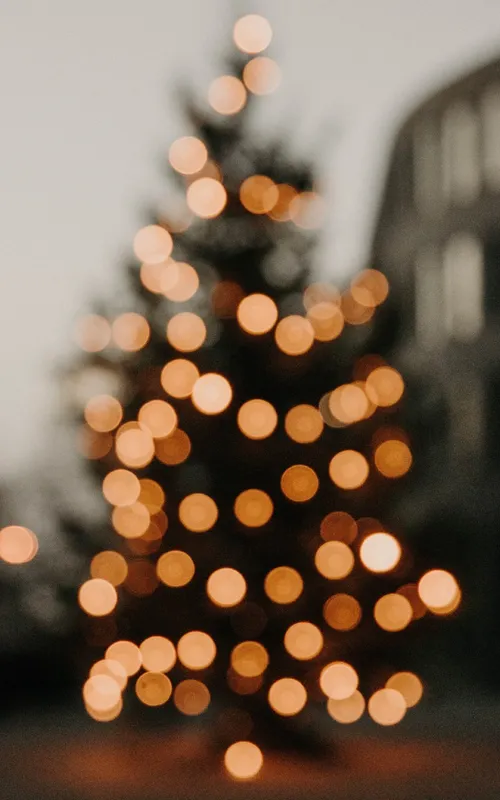 A árvore tem um importante significado para o natal