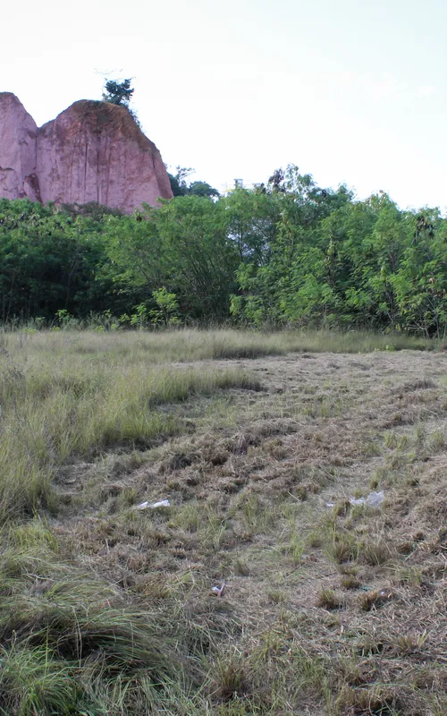 O terreno fica às margens da RJ-104