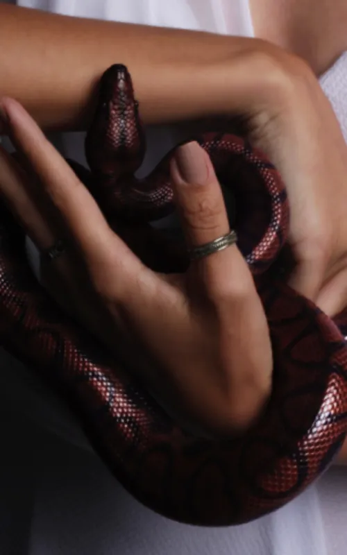 Cobras também podem representar traição