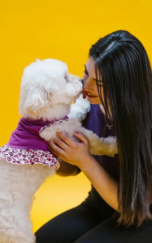 A saliva dos cachorros pode conter a bactéria Capnocytophaga
