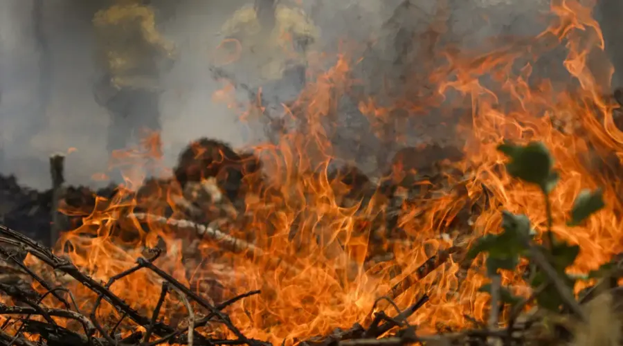 Cenário de incêndio no Pantanal é agravado pela forte ventania na região