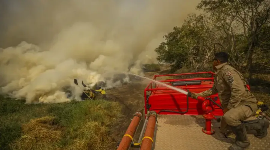 Homens tentam conter chamas e fumaça que ameaçam animais no Pantanal