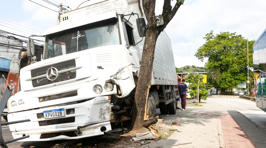 O caminhão invadiu a baia dos ônibus e colidiu contra uma árvore