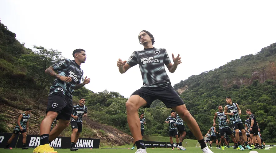 Botafogo deve ir a campo com um time alternativo