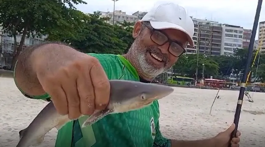 Pescador devolveu animal para o mar