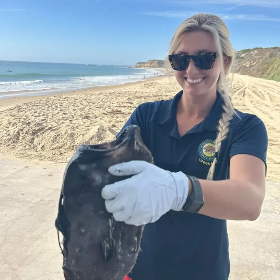 Peixe Futebol foi encontrado por biólogos