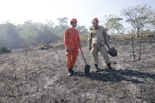 Governo anunciou formação de novos bombeiros