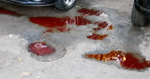 Poças de sangue ainda são vistas no local