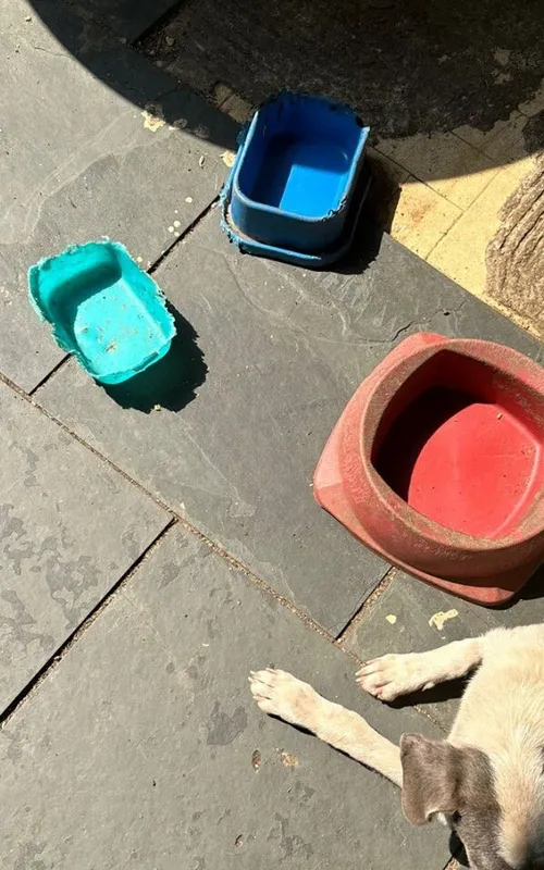 Potes de água estavam vazios